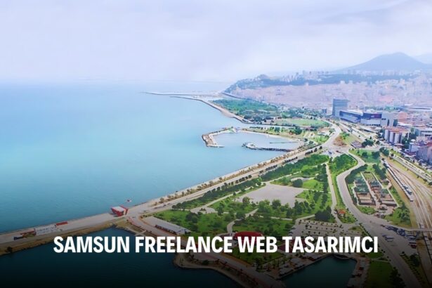 Samsun Freelance Web Tasarımcı